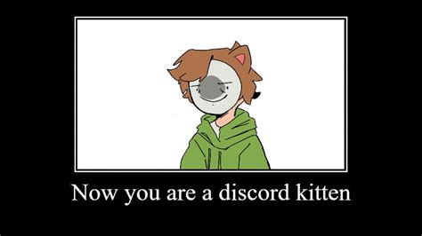 discord kittens - YouTube