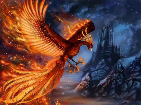 4K, Fire, Magical animals, Birds, Phoenix mythology, Wings, HD Wallpaper | Rare Gallery