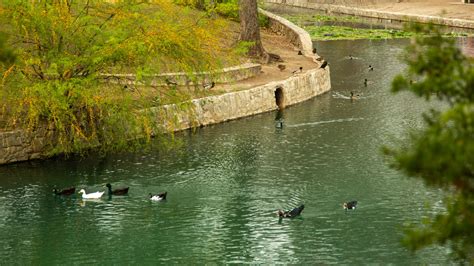 Brackenridge Park, TX, USA : locations de vacances | Abritel