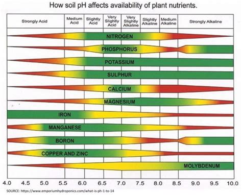 What is pH in Soils and Why Should You Care About it? | Tillin' It Like ...