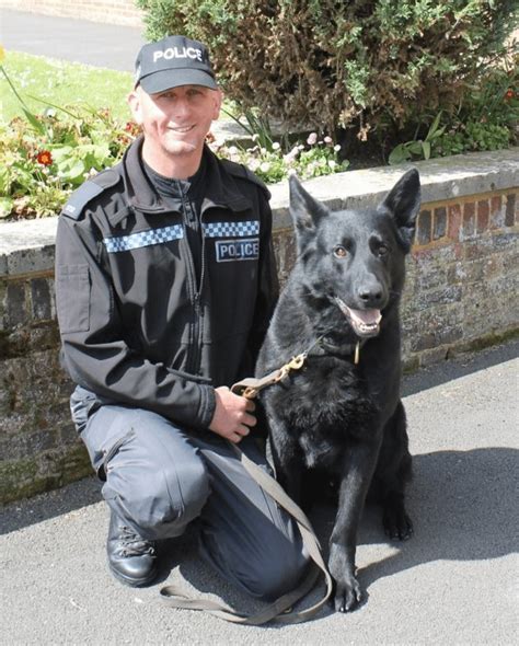 Police dog handlers prepare to take the lead