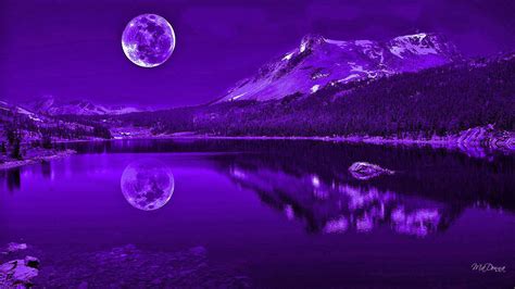 Purple Night Sky Wallpaper