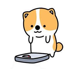 16 Super Cute Corgi Gif – 🔥100000+ 😝 Funny Gif Emoji Emoticons Box 😘 Free Download 👍