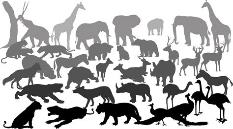 wild animals silhouette 533040 Vector Art at Vecteezy