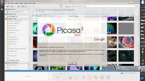 Pod Ubuntu: Install Picasa 3.8 in Ubuntu/Debian