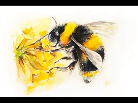 Watercolor Bumblebee Painting Demonstration - YouTube