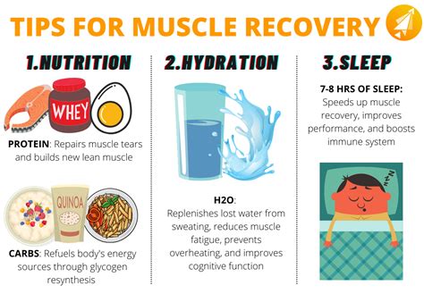 3 Tips on How to Speed Up Muscle Recovery after a Workout : r/Boostcamp