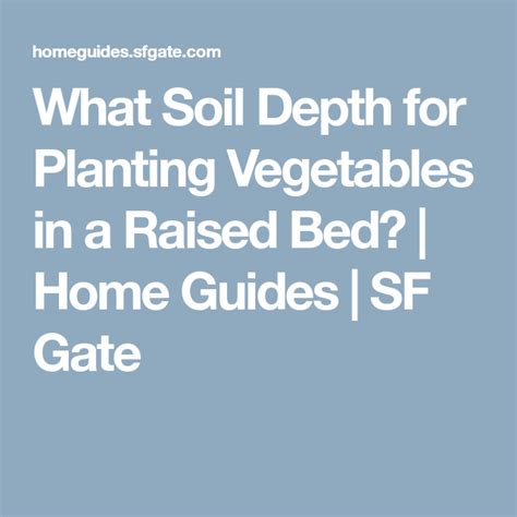 What Soil Depth for Planting Vegetables in a Raised Bed? | Planting vegetables, Raised beds ...