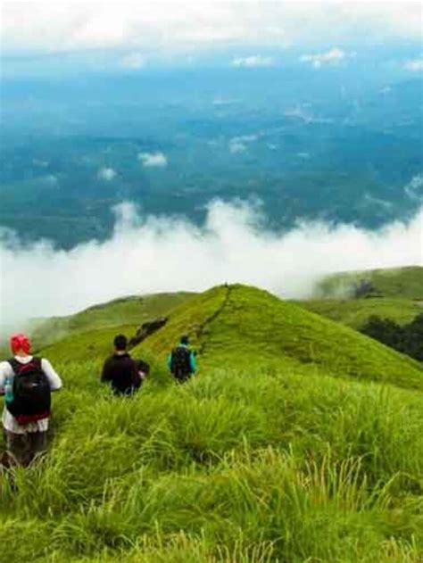 Trekking In Wayanad: 9 Best Trails For Adventure Seekers