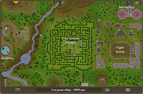 area_guides:tree_gnome_village [2009scape Wiki]