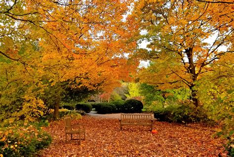 Cantigny Park in Fall – TAYONTHEMOVE