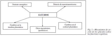 Importancia de la sacarosa en las funciones cognitivas: conocimiento y ...