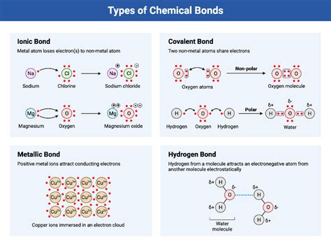 Chemical Bond Types