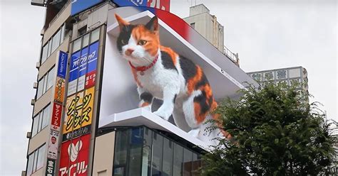 An Enormous 3D Calico Cat Greets Passersby at Tokyo’s Shinjuku Station — Colossal