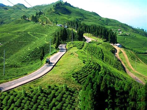 Visit "Ilam" easily: Well Come to Ilam