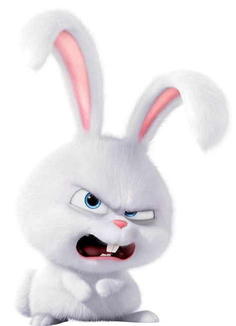 Angry Bunny - Secret Life of Pets