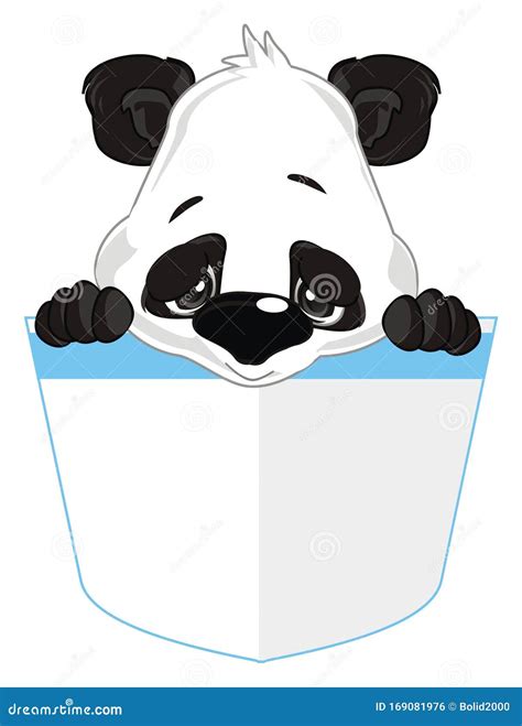 Sad baby panda stock illustration. Illustration of bear - 169081976