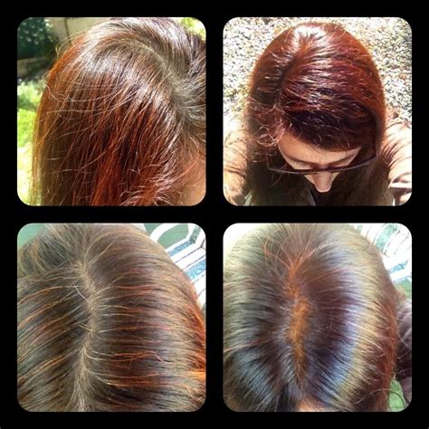 20+ Brown Henna Hair Dye Before After | FASHIONBLOG