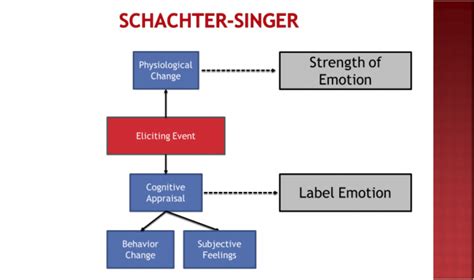 Schachter-Singer Two-Factor Theory – Psychology 425