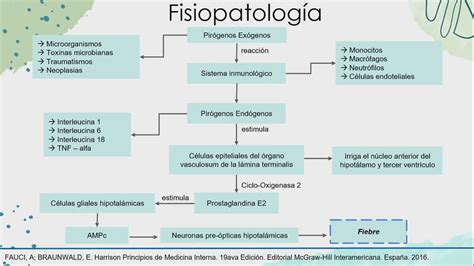 Fisiopatología de fiebre - ASOCIEM USAT - YouTube