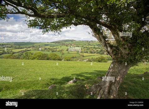 The Shropshire Hills AONB (Area of Outstanding Natural Beauty ...