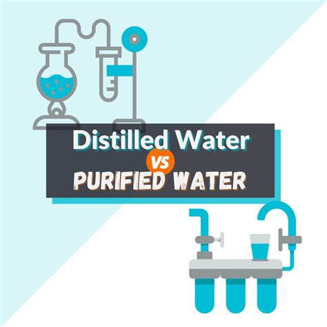 Distilled Water Vs Purified Water: 2022 Ultimate Guide