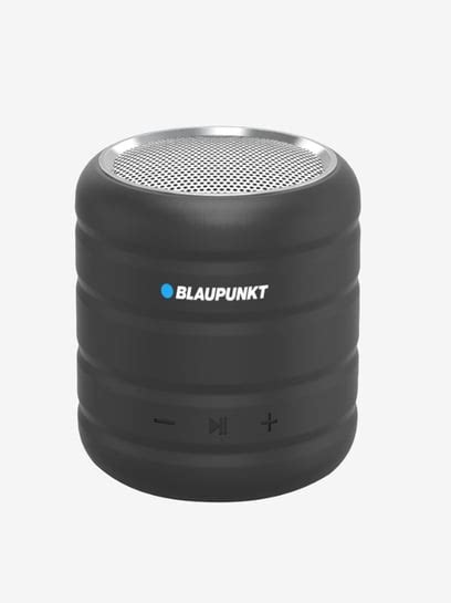 Blaupunkt bluetooth speaker - lasopacompanion