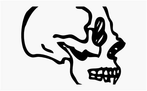 Skull Profile Art Png , Free Transparent Clipart - ClipartKey