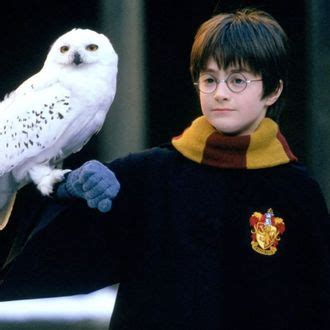 ‘Harry Potter’ Movies to Stream Online at Peacock