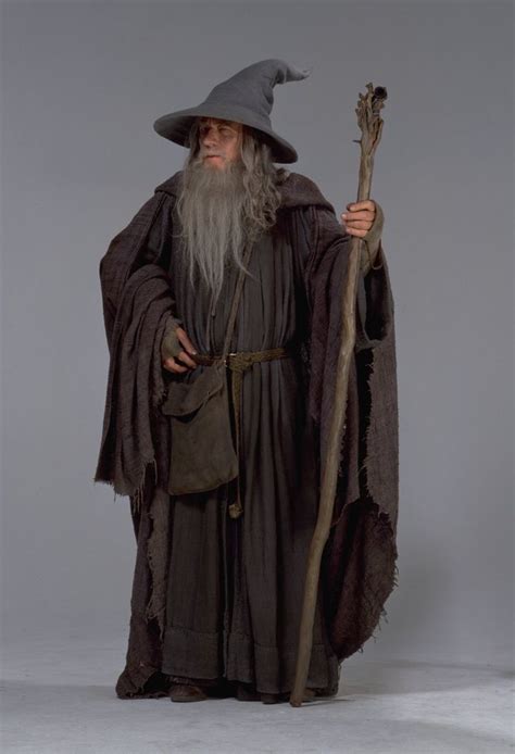 Gandalf El Disfraz Gris