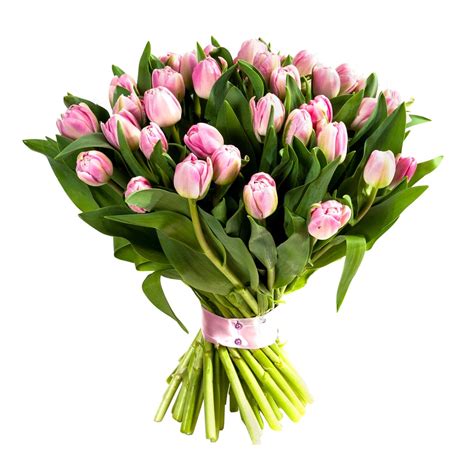 PINK TULIPS BOUQUET | Infinite Monte Carlo