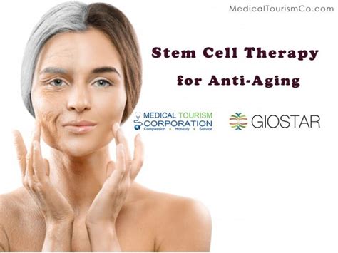 Stem cell for anti-aging