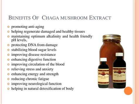 PPT - Chaga mushroom Extract & it’s awesome health benefits PowerPoint ...