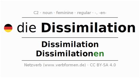 Declension German "Dissimilation" - All cases of the noun, plural, article | Netzverb Dictionary