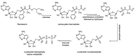 Chemical structure of remdesivir and schematic representation of its ...