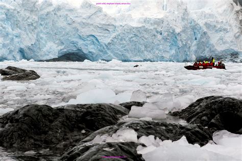 Antarctica - Point Wild, Elephant Island - Travel Unusual