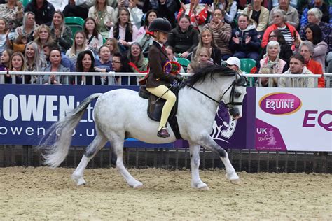 Seasoned winners back in business on day one of Horse of the Year Show - Horse of the Year Show