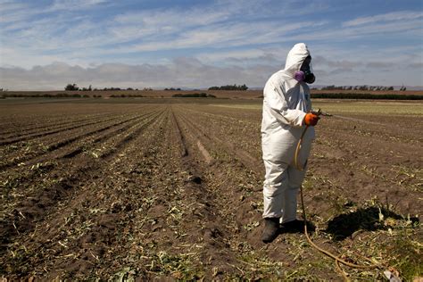 ‘Reduced Risk’ Pesticides Are Widespread in California Streams - Inside Climate News