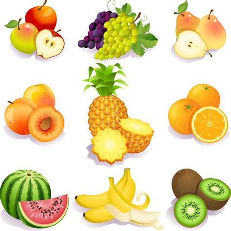 Isolated fruits illustration set - Vector download