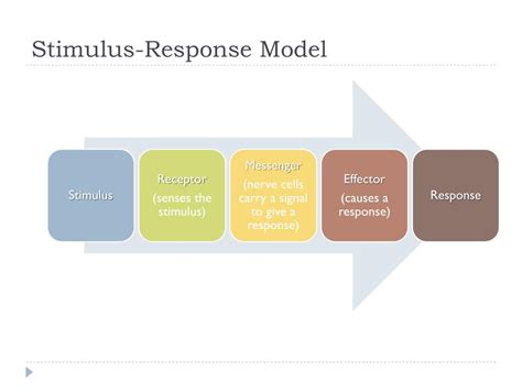 PPT - Stimulus and Response PowerPoint Presentation, free download - ID ...