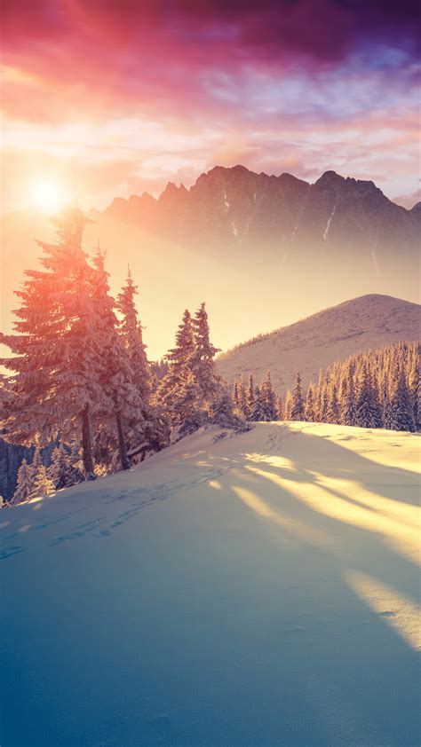 Winter Sunshine Wallpapers on WallpaperDog