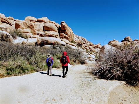 Joshua Tree National Park Hiking Tour | Timberline Adventures