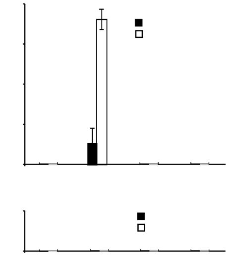 Effect of MV on the CN-induced nucleus destruction in epidermal cells... | Download Scientific ...