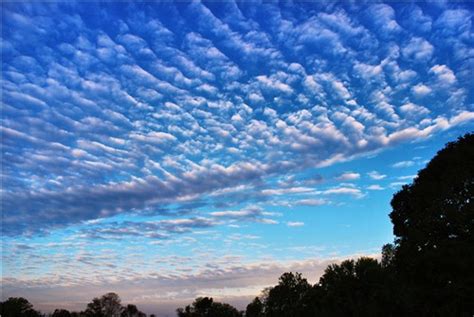 Altocumulus cloud - Alchetron, The Free Social Encyclopedia