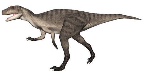 Fukuiraptor Pictures & Facts - The Dinosaur Database