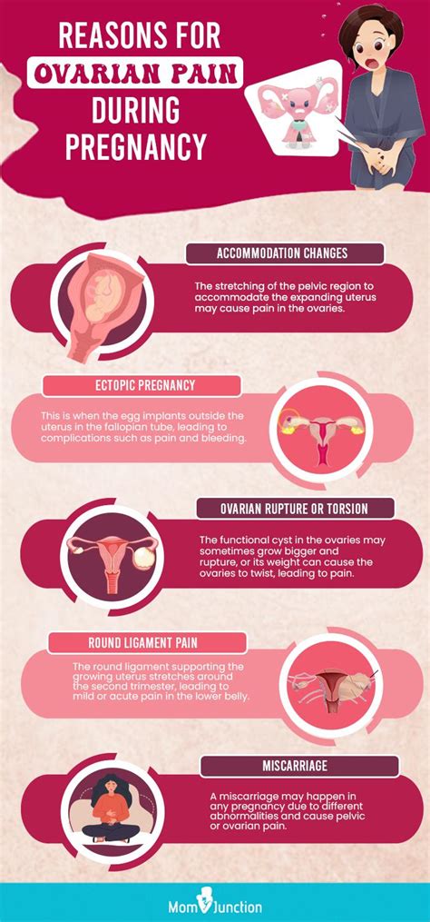 12 Causes Of Ovarian Pain In Early Pregnancy And Treatment