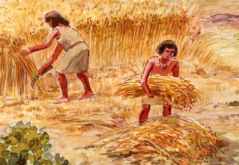 How Can Barley in the Book of Mormon Feed Faith? | Book of Mormon Central