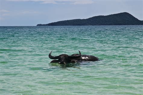 Koh Rong - Island Life Cambodian Style | Backpacker Banter