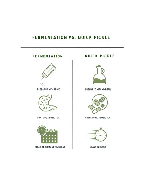 Preserving the Power of Pickles: Exploring Fermentation for Gut and Brain Health — Chef D RD