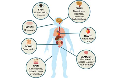 Anticholinergic Side Effects in the Older Adult Population - Genomind